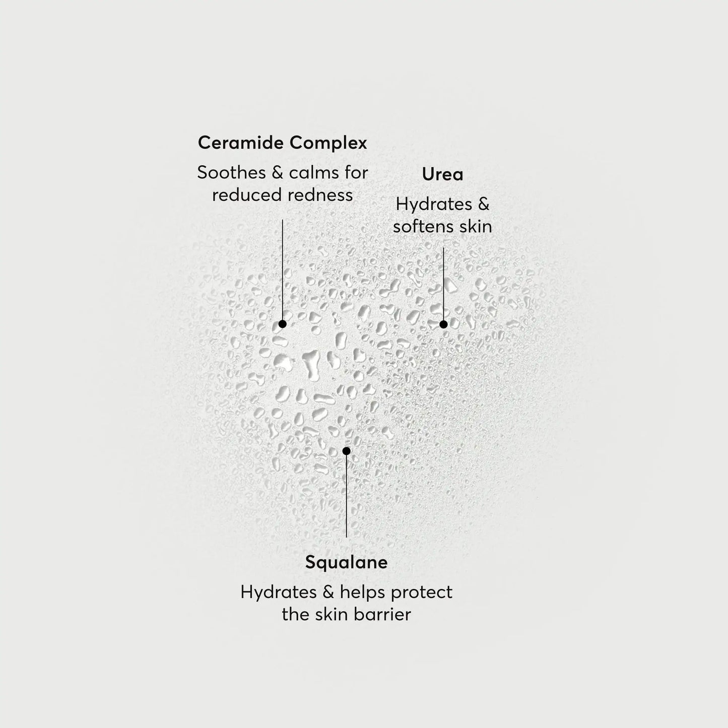 barrier-bounce-bi-phase-mist-z8 NATR-10167-Alt-Images-Barrier-Bounce-Bi-Phase-Toner-Mist_01.webp