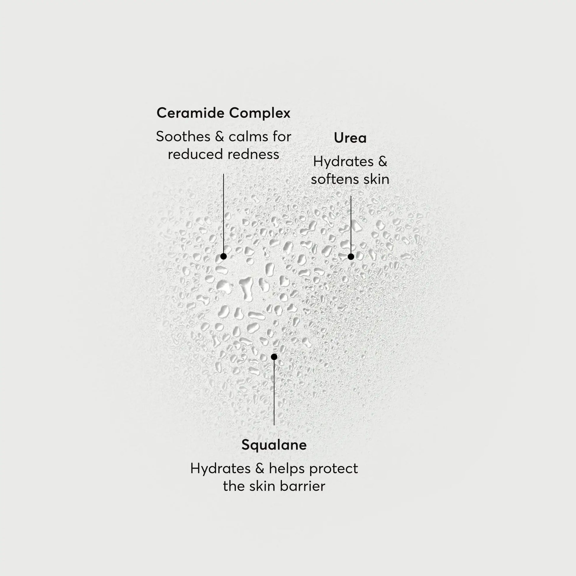 barrier-bounce-bi-phase-mist-z8 NATR-10167-Alt-Images-Barrier-Bounce-Bi-Phase-Toner-Mist_01.webp