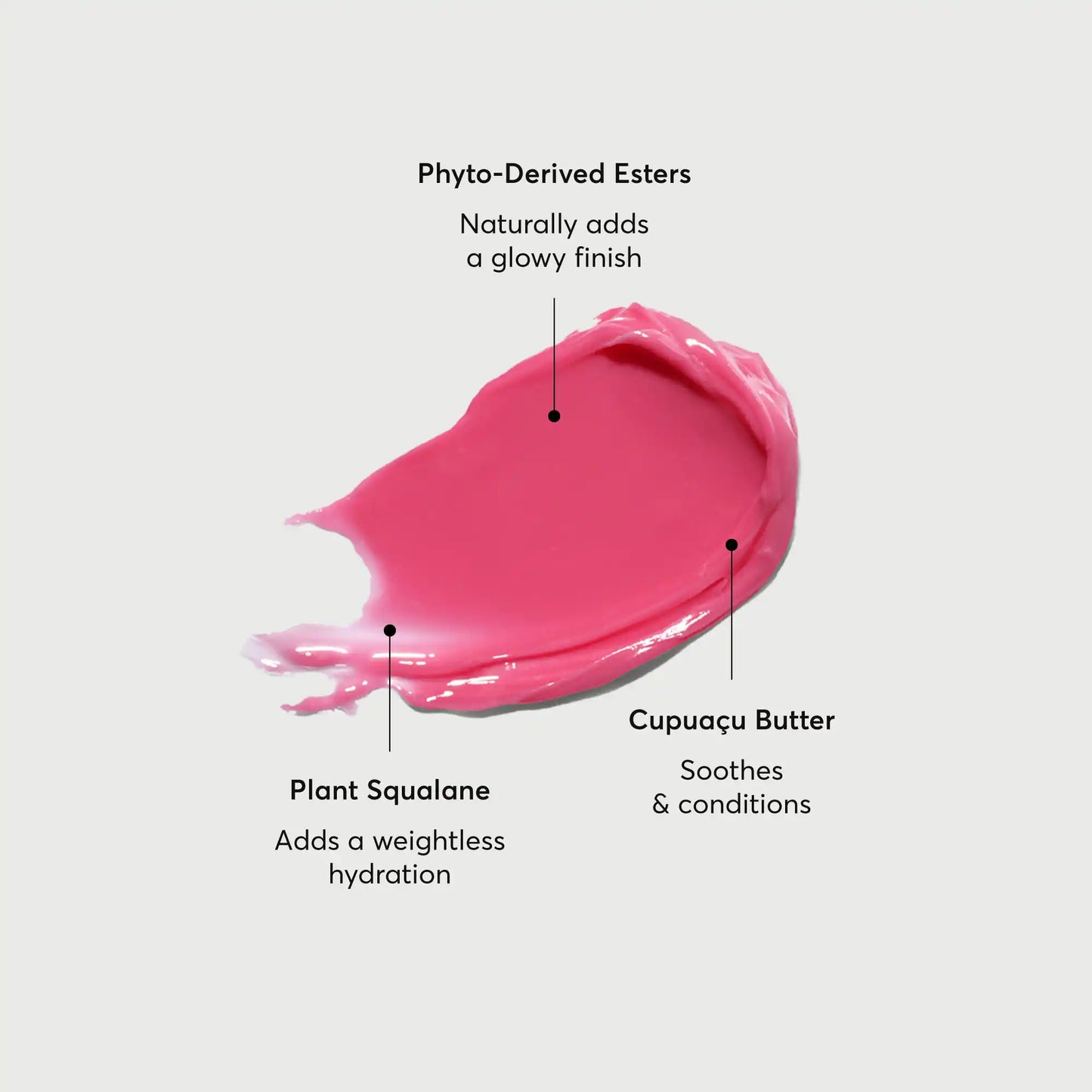 phyto-glow-lip-balm-camellia-g8 NATR-60075-Alt-Images-Phyto-Glow-Lip-Balm-Camellia-01.webp